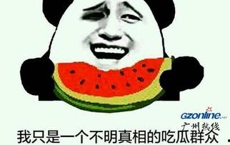 娱乐圈吃瓜群众的简介